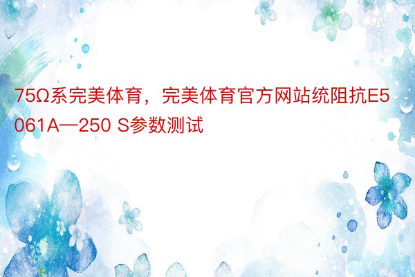 75Ω系完美体育，完美体育官方网站统阻抗E5061A—250 S参数测试